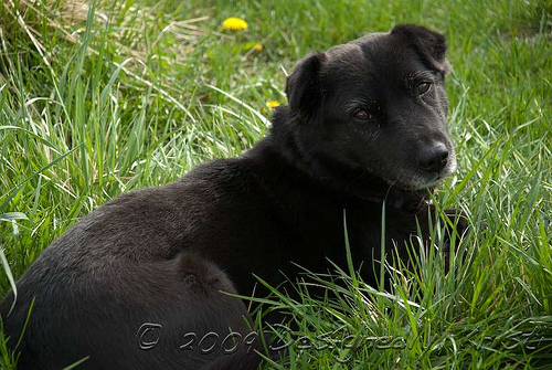 Emma Enjoying the Spring Weather