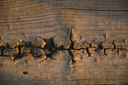 Cracked Wood