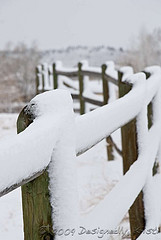 Snow On Fence