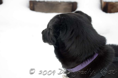 Emma Ponders Her Next Leap