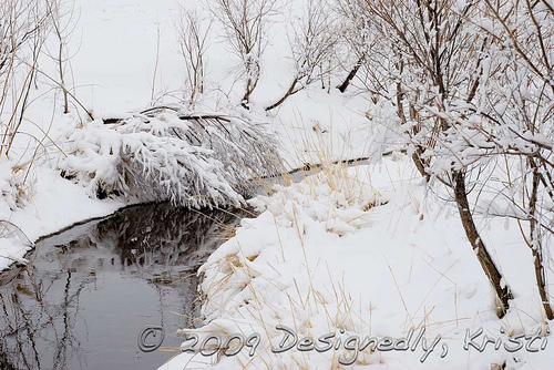 Snowy Canal