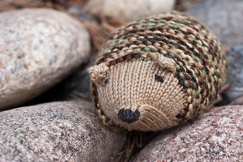 Camo Hedgehog 4