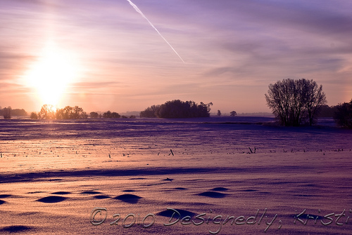 Frosty Sunrise
