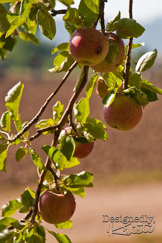 Apples - 2