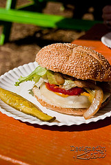 Bison Burger