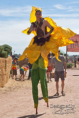 Sunflower on Stilts