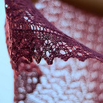Kate Shawl