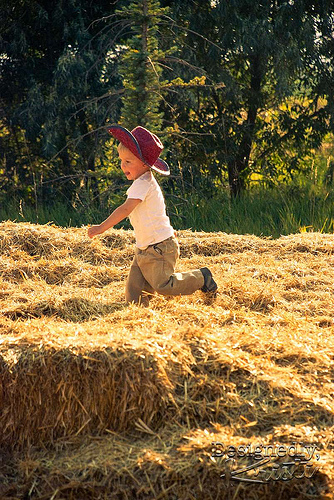 Straw Pile - 2