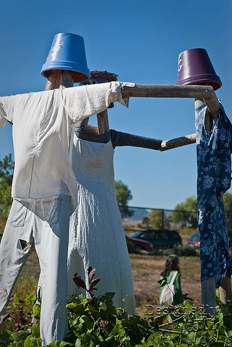 Scarecrows