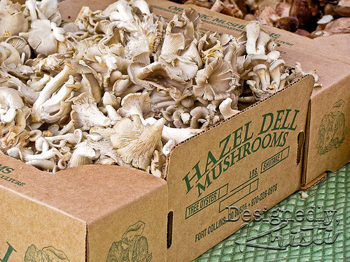 Hazel Dell Mushrooms