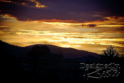 Suburban Sunset