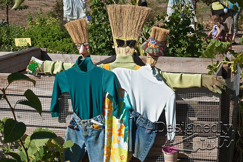 Scarecrows
