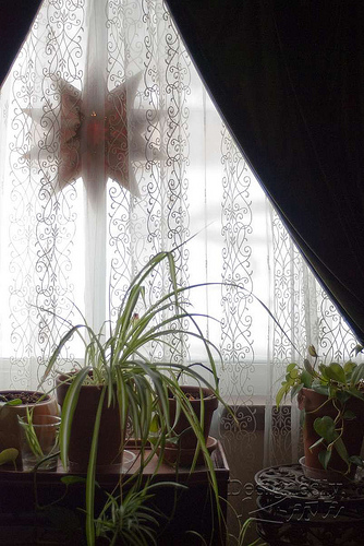 Living Room Window in Winter Snow Storm