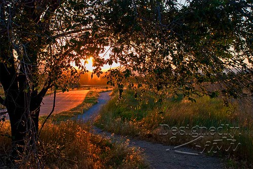 Sunset on Poudre Trail