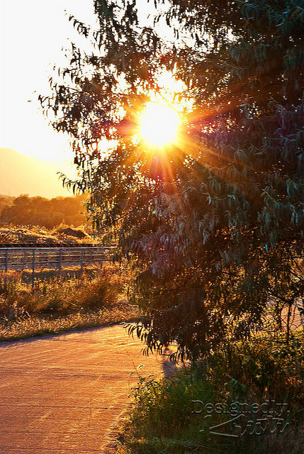 Sunset from Poudre Trail