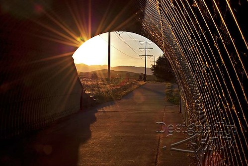Multi-Use Poudre Trail Near Sunset