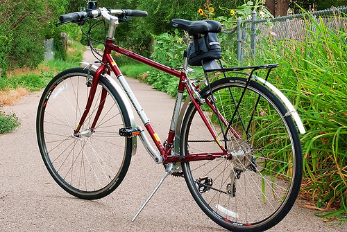 My New Bike - Jamis Coda Femme