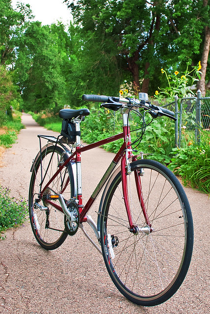 My New Bike - Jamis Coda Femme