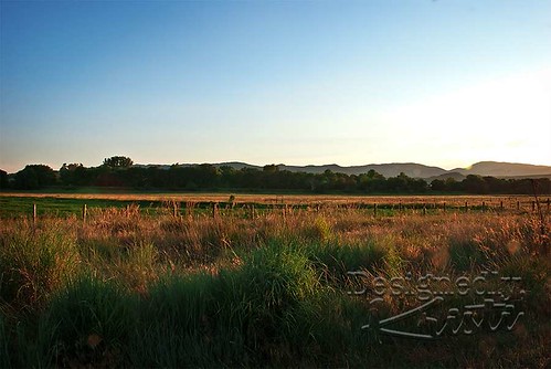 High Prairies of Northern Colorado
