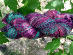 Northern Lights in a Maple