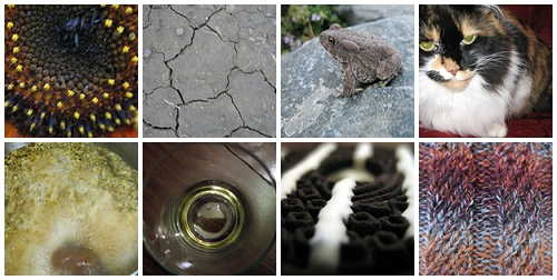 PS Neutral Week 1 Mosaic