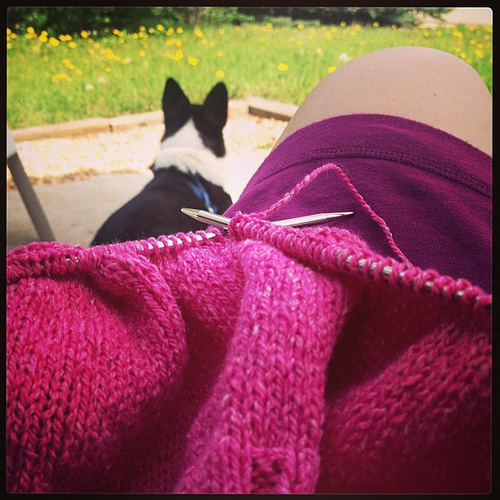 A little afternoon knitting on the patio with my bud Brandon, some tea, and _Changeless_.