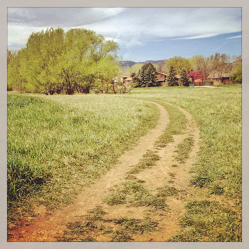 Saturday's 5.5 mile walk included a leg through Ross Natural Area.