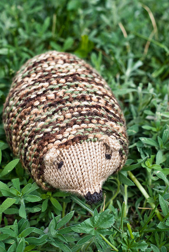 Camo Hedgehog 3