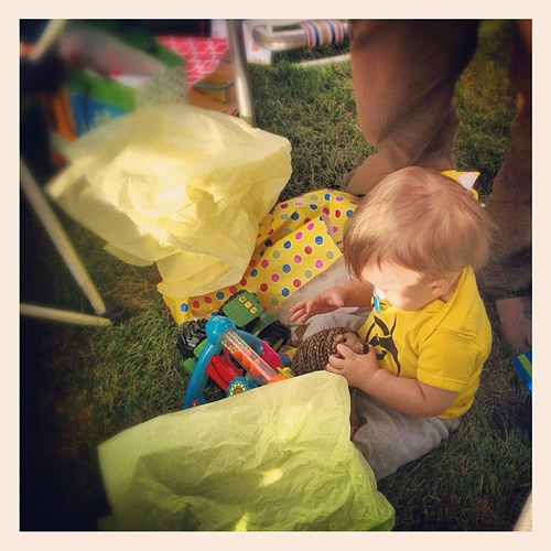 The camo hedgehog was a hit!