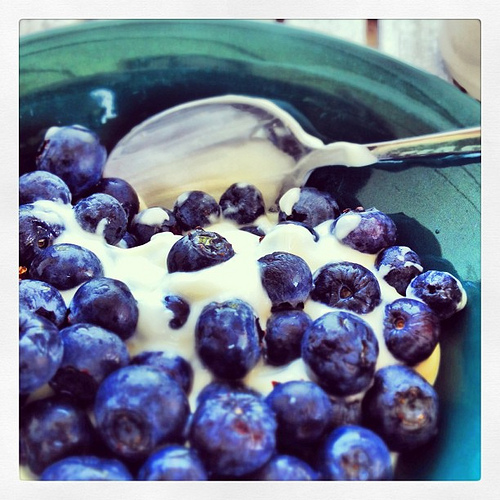 Fueling my morning ride with some lemon Noosa and a cup of blueberries
