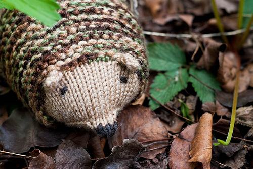 Camo Hedgehog 2