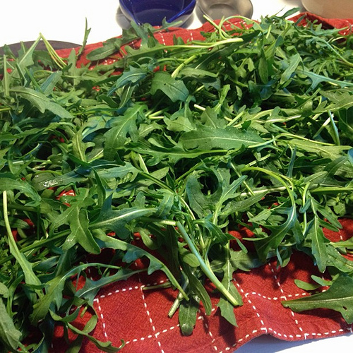 Arugula pesto is in my near future!