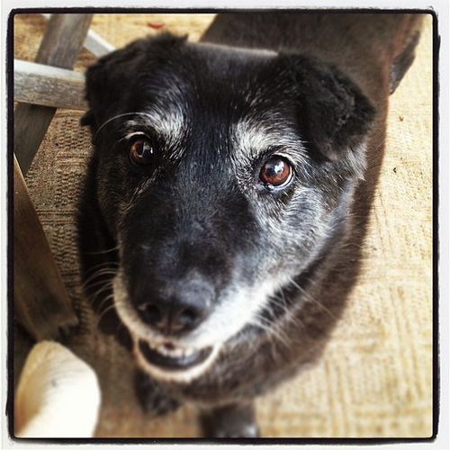 Emma says "hi" to dad. I actually can't believe I caught one if her very rare smiles. And without food!