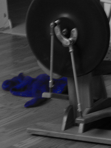Blue Roving in Black and White