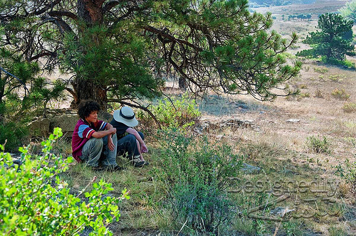 Boys Under Tree at Bobcat Ridge Natural Area