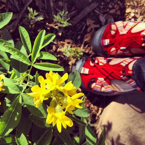 Blooms outside the office & new kicks! A great way to start the week off right!