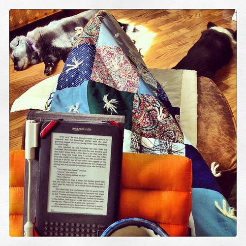 Two pups, quilt made by MIL, comfy leather chair & ottoman, coffee and a good book. Saturday morning doesn't get much better! Well, DH could be on the love seat instead of in Denver...