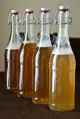 All Four Types of Kombucha Ready to Bottle Condition