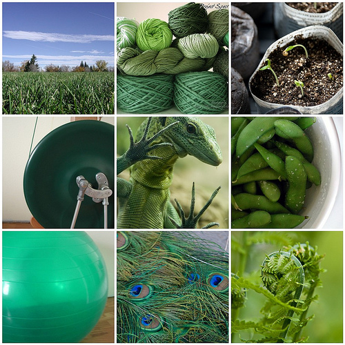 9 Favorite Green Things