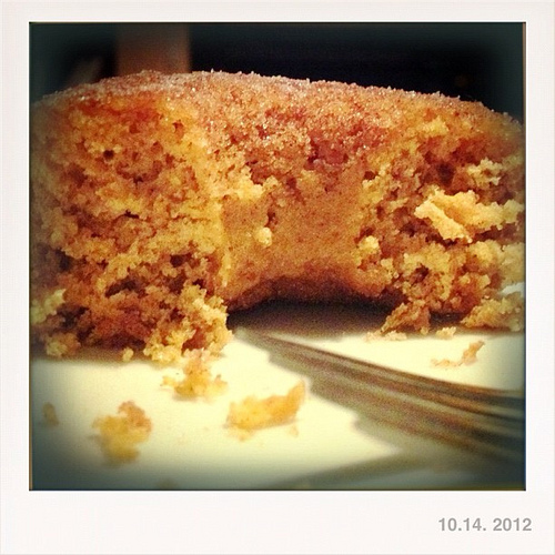 Whole Wheat Pumpkin Doughnuts - Take 1.