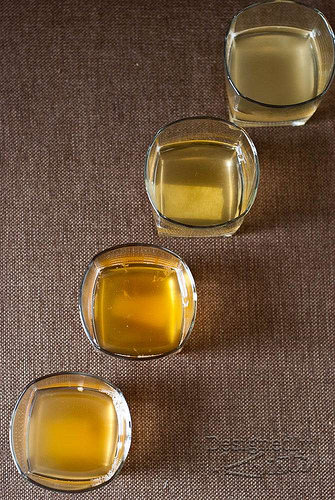 Our Kombucha Taster Pours