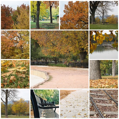City Park October 6, 2006
