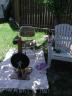 Outdoor Knitting Space