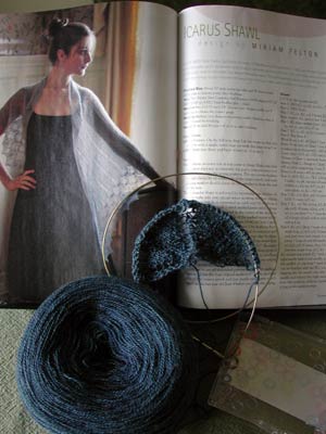 Introduction to Icarus Shawl