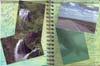 View the second week of June altered calendar spread.