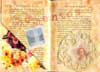 This interactive altered book page by Kristi contains a glassine envelope and a doily.