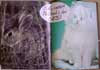 View the altered book page Silly Rabbit.