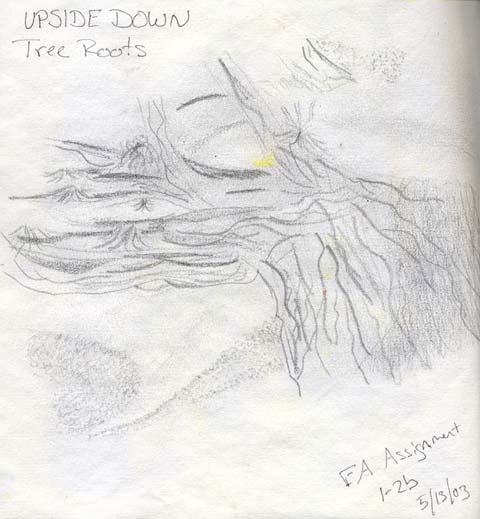 Another upside down sketch from a drawing course at Eclectic Academy.
