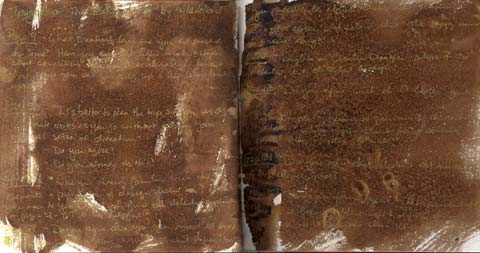An undiluted walnut ink background was used to take notes on Nita Leland's The Creative Artist with a gold gel ink pen.