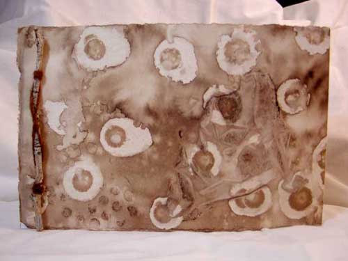 Return to nature with this stick bound book, with walnut ink on watercolor paper covers.